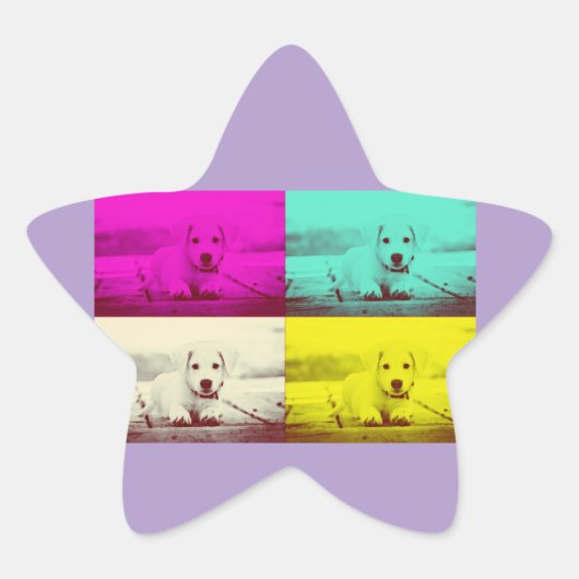 puppies schattig ster sticker (Voorkant)