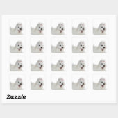 Puppies Schattigee Maltese hond Vierkante Sticker (Vel)