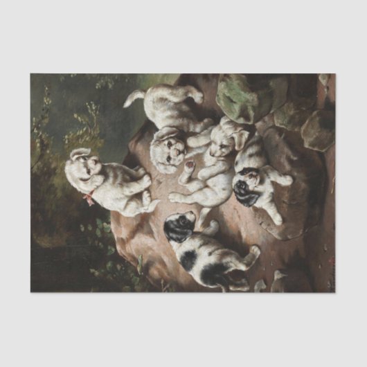 Puppies Schilderen door Carl Reichert Tissue Paper Tissuepapier (Voorkant)