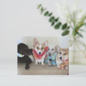 Puppies, sjerpen en hoofddoeken, vers briefkaart (Staand voorkant)