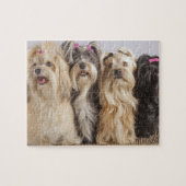 Puppies Spel Puzzle Legpuzzel (Horizontaal)