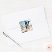 Puppies spelen op het strand vierkante sticker (Envelop)