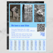 puppies te koop flyer met QR code (Voorkant / Achterkant)