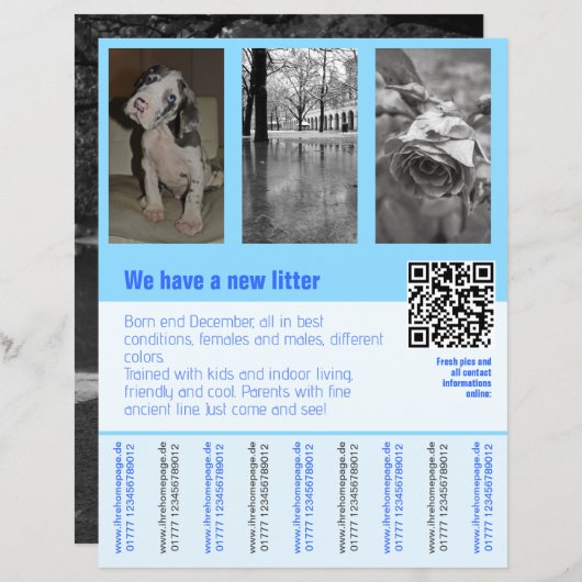 puppies te koop flyer met QR code (Voorkant / Achterkant)