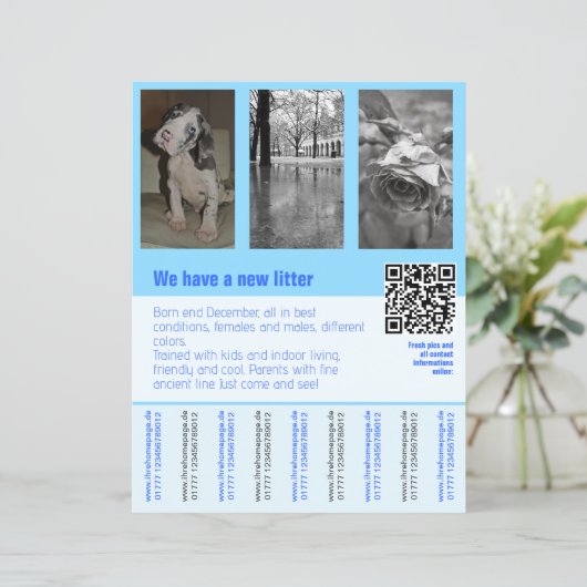 puppies te koop flyer met QR code (Staand voorkant)