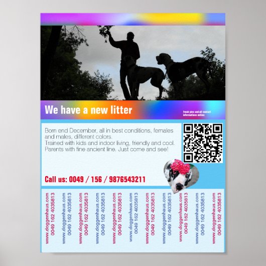Puppies te koop flyer met QR code Poster (Voorkant)
