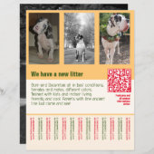 puppies te koop flyer met QR code sinaasappel (Voorkant / Achterkant)