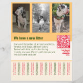 puppies te koop flyer met QR code sinaasappel (Voorkant)