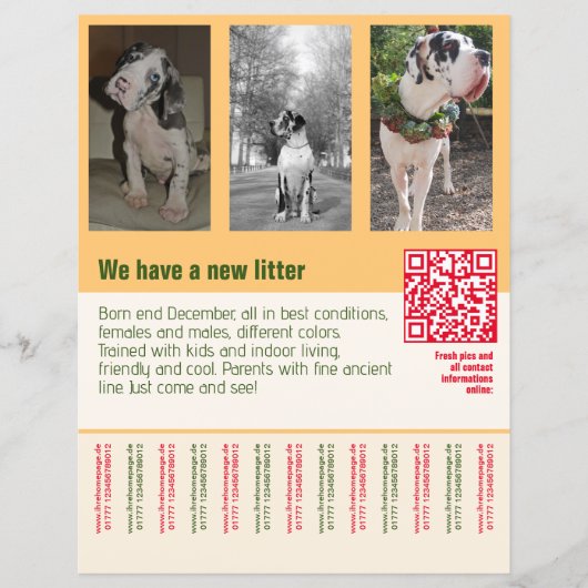 puppies te koop flyer met QR code sinaasappel (Voorkant)