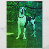 puppies te koop flyer sjabloon QR code (Achterkant)