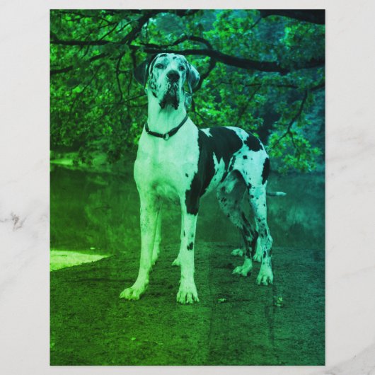 puppies te koop flyer sjabloon QR code (Achterkant)