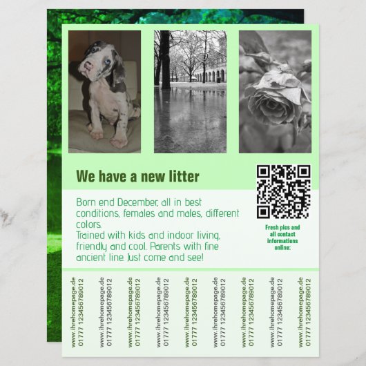 puppies te koop flyer sjabloon QR code (Voorkant / Achterkant)