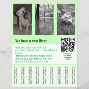 puppies te koop flyer sjabloon QR code