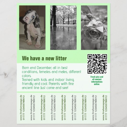 puppies te koop flyer sjabloon QR code (Voorkant)