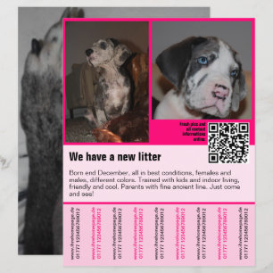 puppies te koop flyer sjabloon QR code