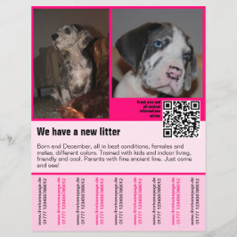 puppies te koop flyer sjabloon QR code