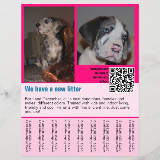 puppies te koop flyer sjabloon QR code (Voorkant)
