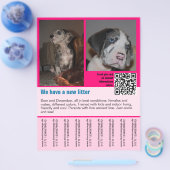 puppies te koop flyer sjabloon QR code (Enkel)