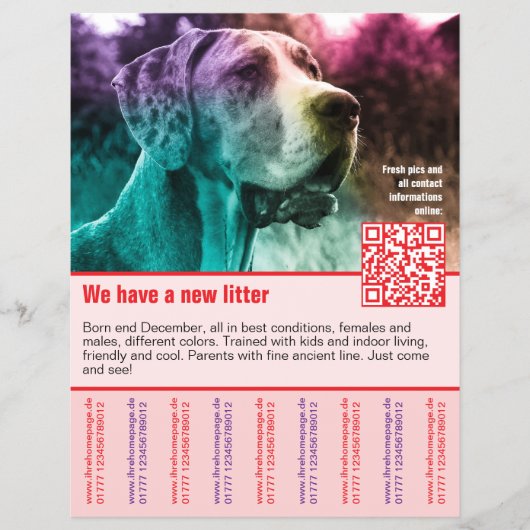 puppies te koop flyer sjabloon QR code (Voorkant)