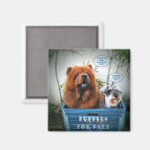 Puppies te koop magneet (Voorkant / Achterkant)