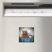 Puppies te koop magneet (Insitu (Vaatwasser))