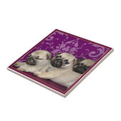 Puppies Tegeltje (Zijkant)