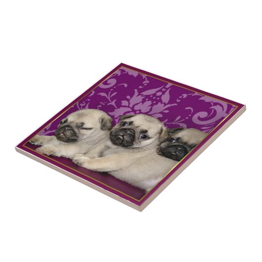 Puppies Tegeltje (Zijkant)