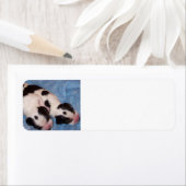 Puppies van beagle etiket (Insitu)