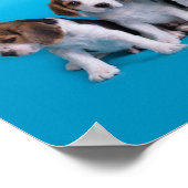Puppies van beagle poster (Hoek)