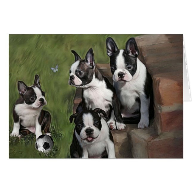 Puppies van Boston Terrier (Voorkant Horizontaal)