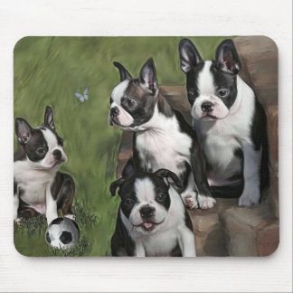 Puppies van Boston Terrier Muismat
