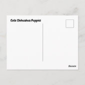 Puppies van Chihuahua Posing voor foto Briefkaart (Achterkant)