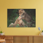Puppies van Coyote (Canis Latrans) Canvas Afdruk (Insitu (Woonkamer))
