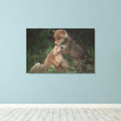 Puppies van Coyote (Canis Latrans) Canvas Afdruk (Insitu (Houten vloer))