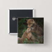 Puppies van Coyote (Canis Latrans) Vierkante Button 5,1 Cm (Voorkant /achterkant)