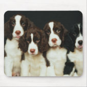 Puppies van de Engelse Springer Spaniel (2) Muismat (Voorkant)