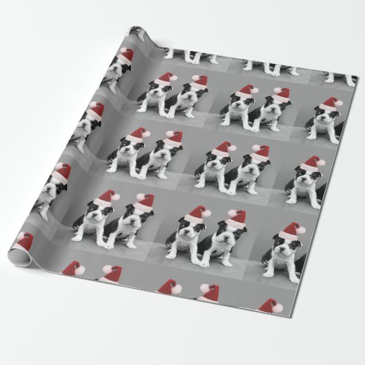 Puppies van de kerst van Boston Terrier Cadeaupapier (Uitgerold)