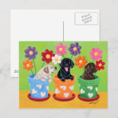 Puppies van de labrador van de bloem briefkaart (Voorkant / Achterkant)