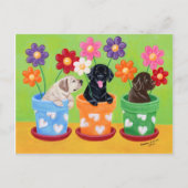 Puppies van de labrador van de bloem briefkaart (Voorkant)