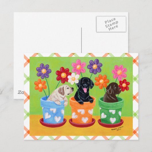 Puppies van de labrador van de bloem briefkaart (Voorkant / Achterkant)