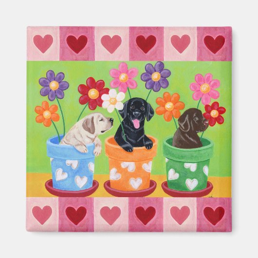 Puppies van de labrador van de bloem magneet (Voorkant)