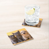 Puppies van de Russische blauw Kittens en Dachshun Kartonnen Onderzetters (Insitu)