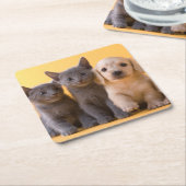 Puppies van de Russische blauw Kittens en Dachshun Kartonnen Onderzetters (Schuin)