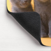 Puppies van de Russische blauw Kittens en Dachshun Muismat (Hoek)