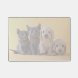 Puppies van de Russische blauw Kittens en Dachshun Post-it® Notes