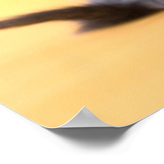 Puppies van de Russische blauw Kittens en Dachshun Poster (Hoek)