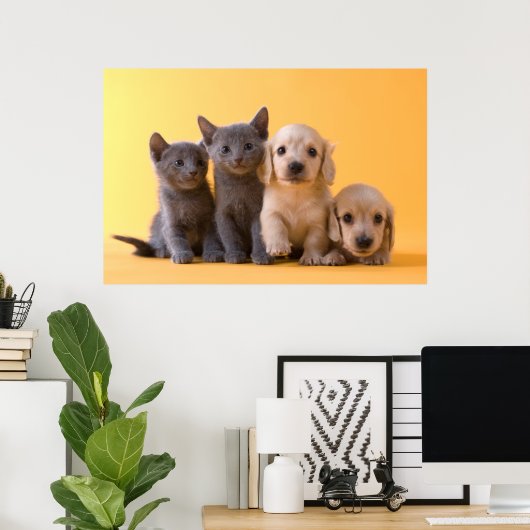Puppies van de Russische blauw Kittens en Dachshun Poster (Thuiskantoor)