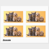 Puppies van de Russische blauw Kittens en Dachshun Rechthoekige Sticker (Vel)