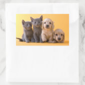 Puppies van de Russische blauw Kittens en Dachshun Rechthoekige Sticker (Tas)