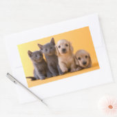 Puppies van de Russische blauw Kittens en Dachshun Rechthoekige Sticker (Envelop)